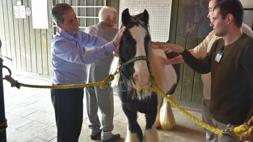 Parkinson ve Demans Hastalarına Umut Işığı