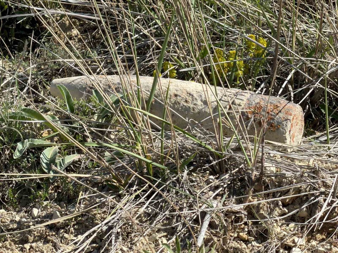 Ankara’da vatandaş mantar ararken patlamamış top mermisi buldu