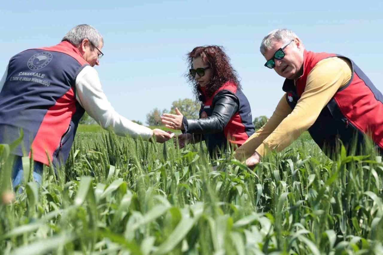 Çanakkale’de ekili ve dikili alanlarda kontroller devam ediyor