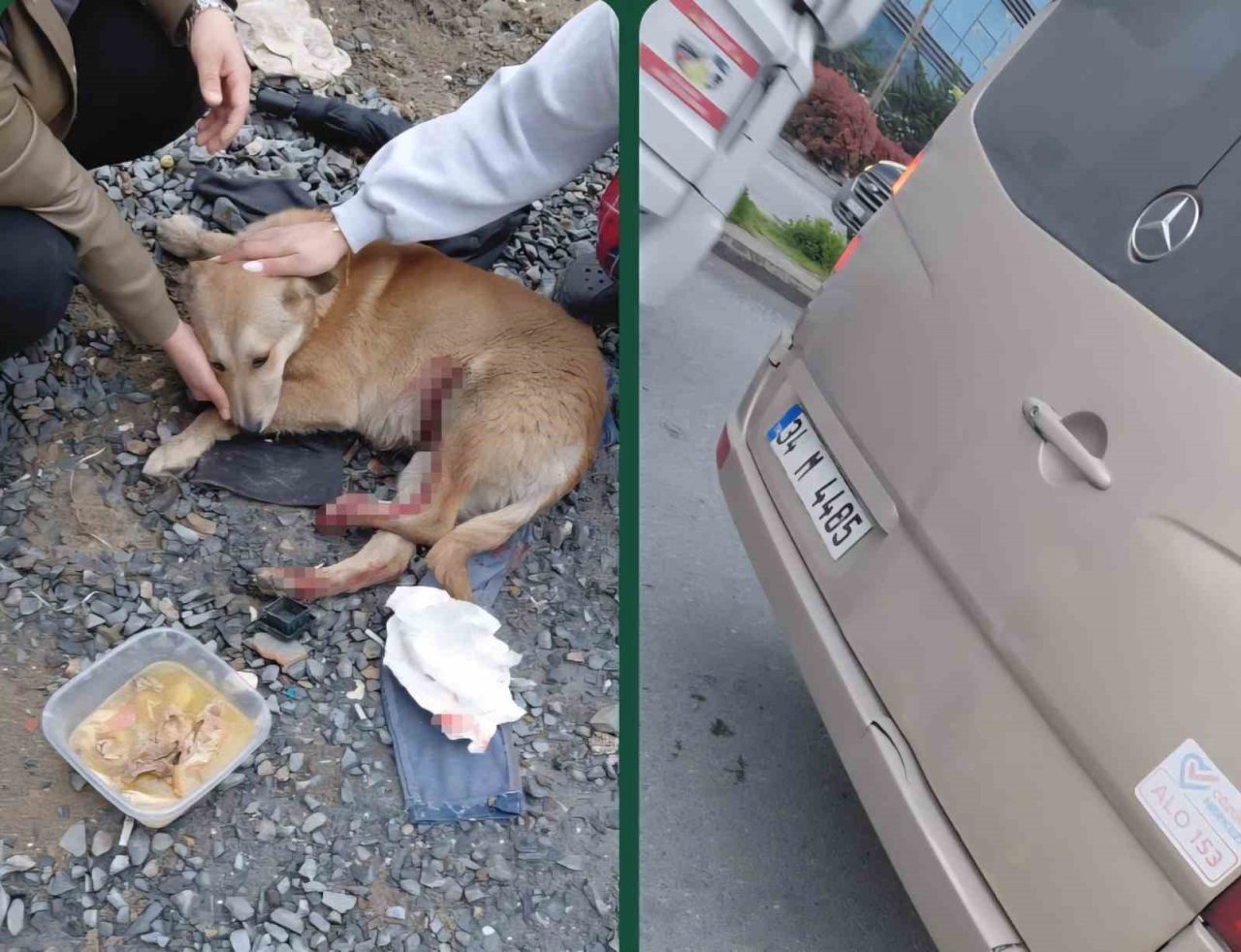 “Köpeğe çarptın” tartışması kamerada