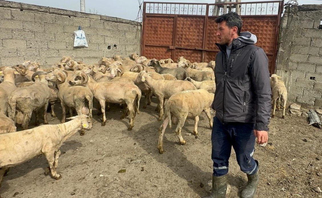 Kurbanlık parasıyla evlenmişti şimdi doğacak bebeği için kullanacak