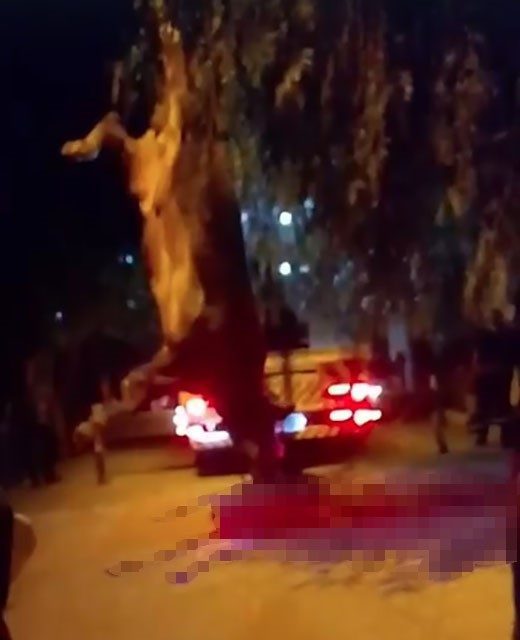 Dereye düşen kurbanlık dana vinçle kurtarıldı