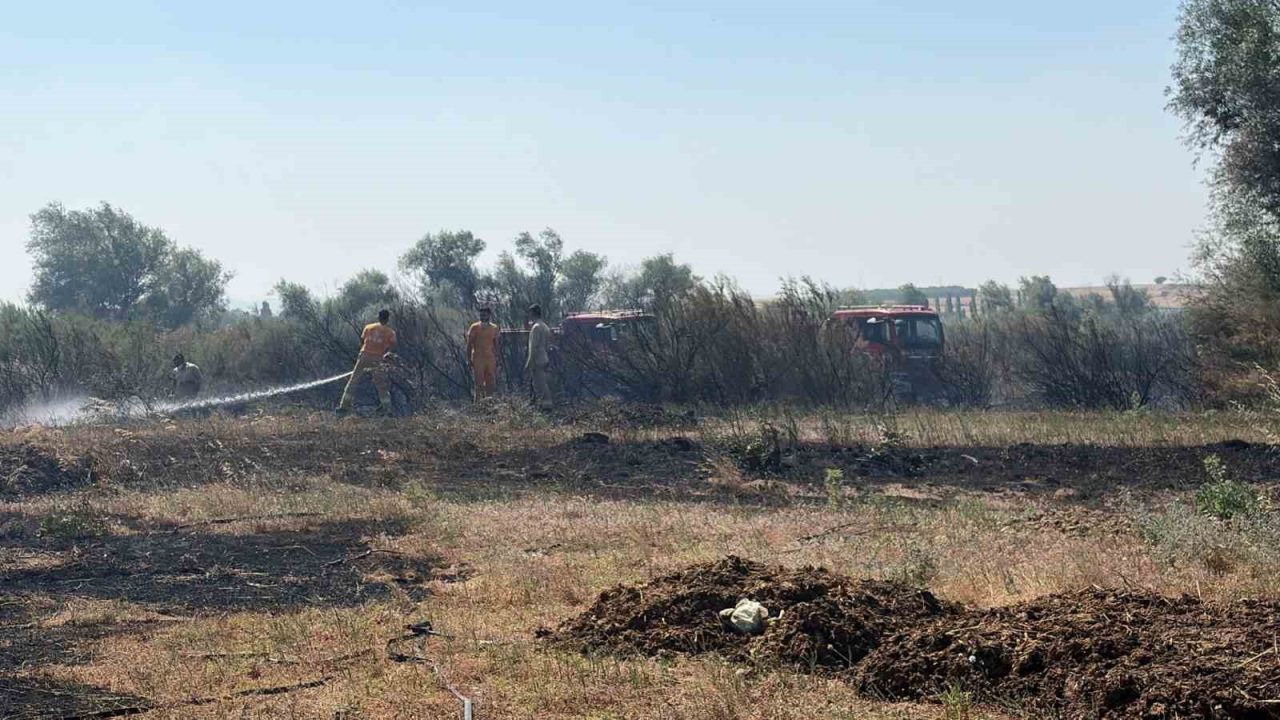 Balıkesir’de iki ayrı ilçede çıkan arazi yangınları kontrol 