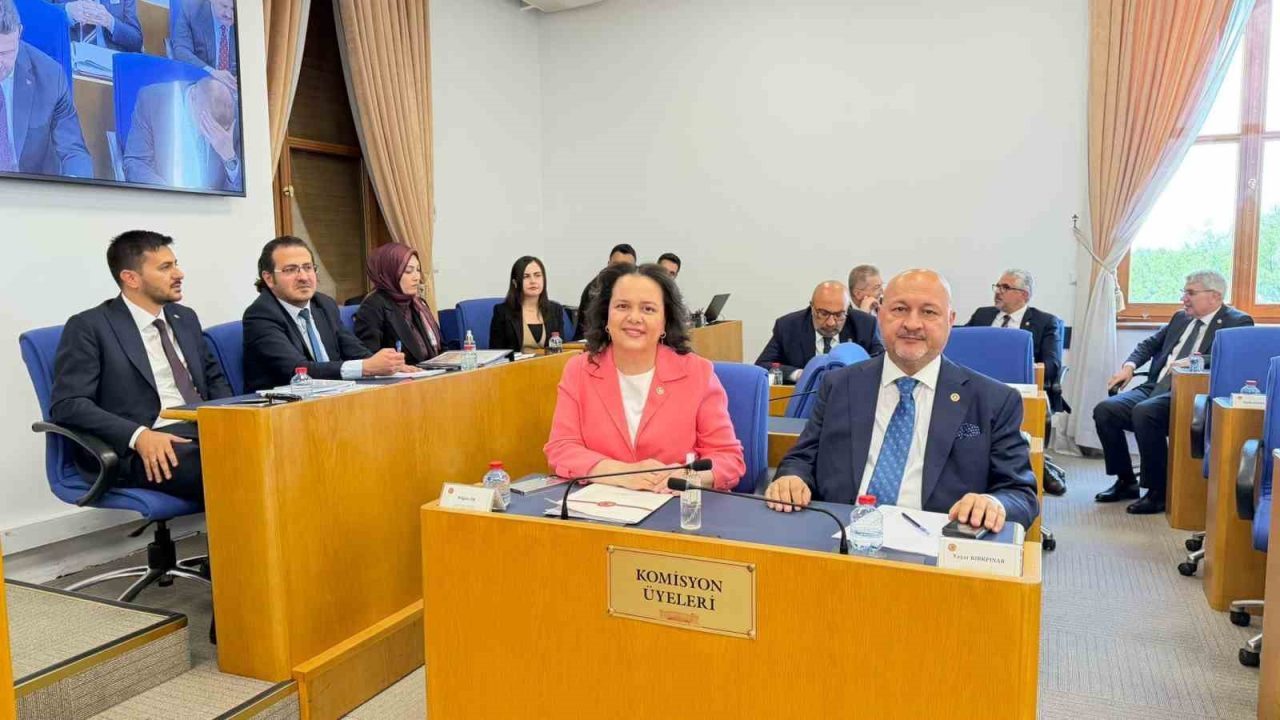 Emniyet, basın ve vergi ile ilgili düzenlemeleri içeren kanun teklifi Komisyon’da